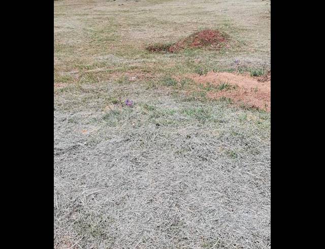 LAND FOR SALE IN RASLOUW